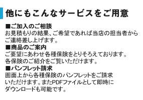 ɂȃT[rXp